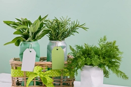 Blechdose als Vase Blechdose als Vase © IStock